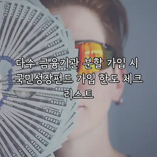 다수 금융기관 분할 가입 시 국민성장펀드 가입 한도 체크리스트