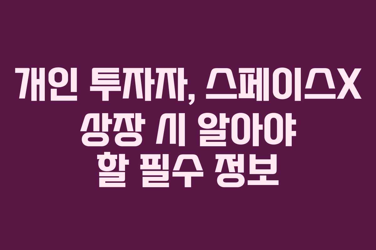개인 투자자, 스페이스X 상장 시 알아야 할 필수 정보 개인 투자자, 스페이스X 상장 시 알아야 할 필수 정보