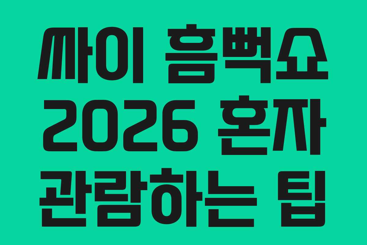 싸이 흠뻑쇼 2026 혼자 관람하는 팁