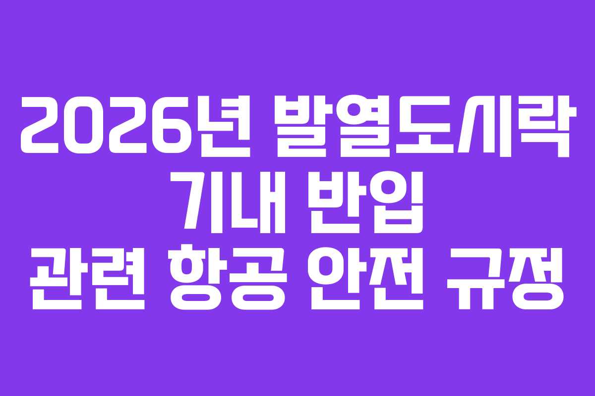 2026년 발열도시락 기내 반입 관련 항공 안전 규정 2026년 발열도시락 기내 반입 관련 항공 안전 규정