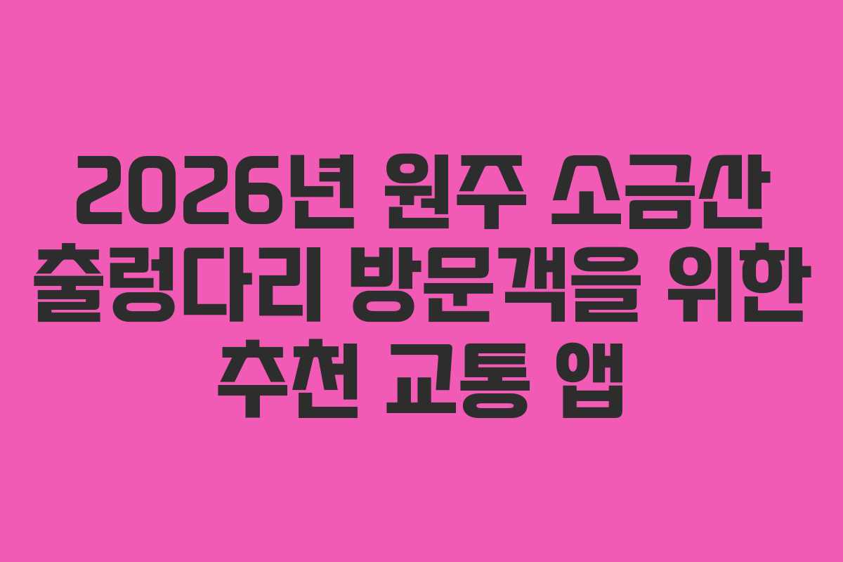 2026년 원주 소금산 출렁다리 방문객을 위한 추천 교통 앱