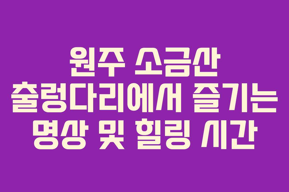 원주 소금산 출렁다리에서 즐기는 명상 및 힐링 시간 원주 소금산 출렁다리에서 즐기는 명상 및 힐링 시간