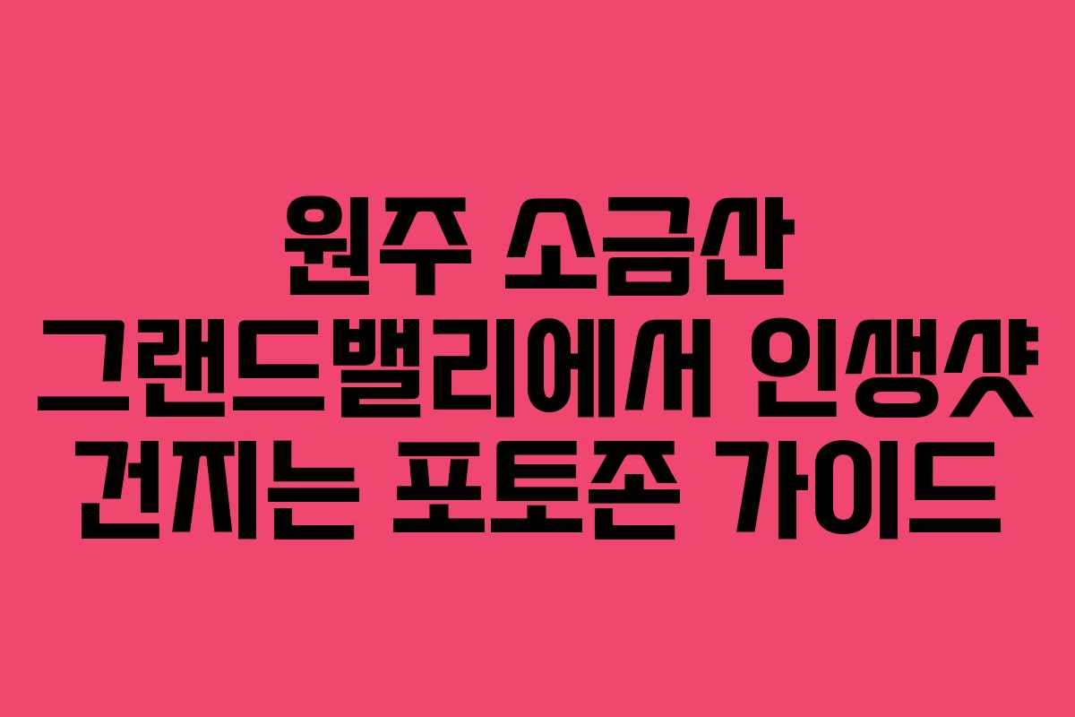 원주 소금산 그랜드밸리에서 인생샷 건지는 포토존 가이드