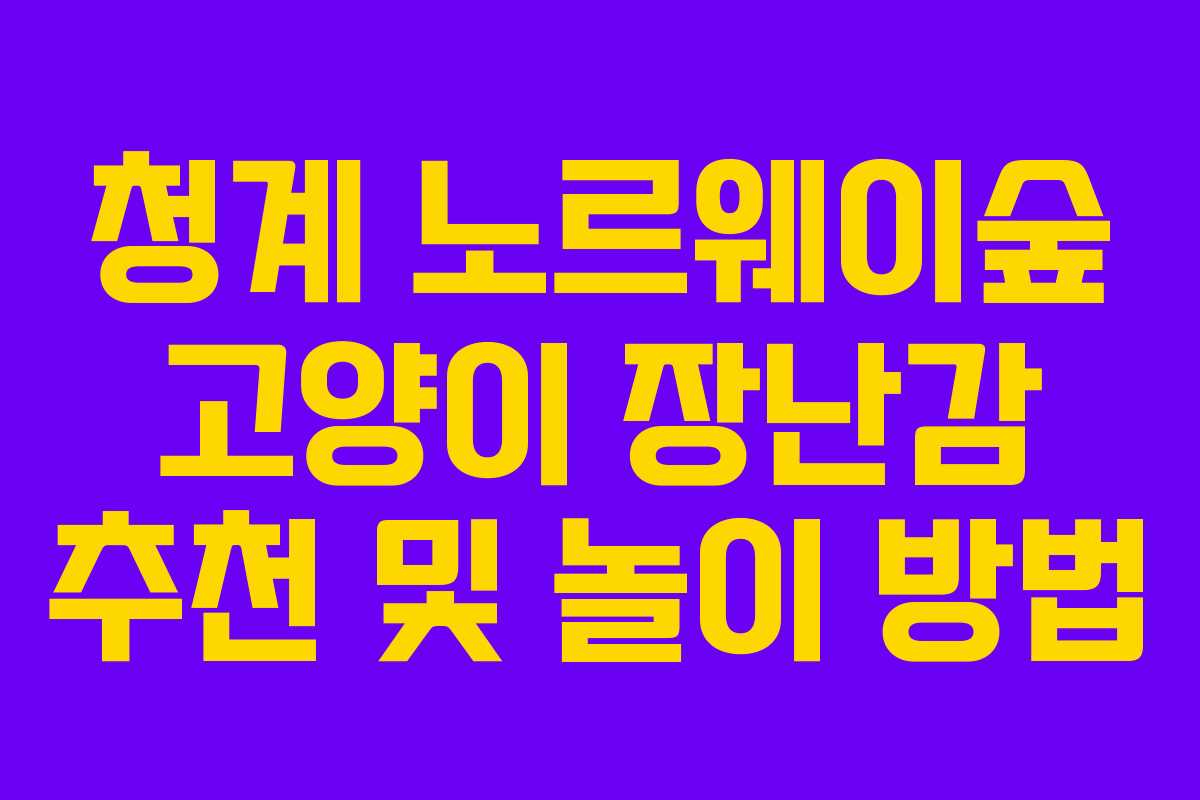 청계 노르웨이숲 고양이 장난감 추천 및 놀이 방법 청계 노르웨이숲 고양이 장난감 추천 및 놀이 방법