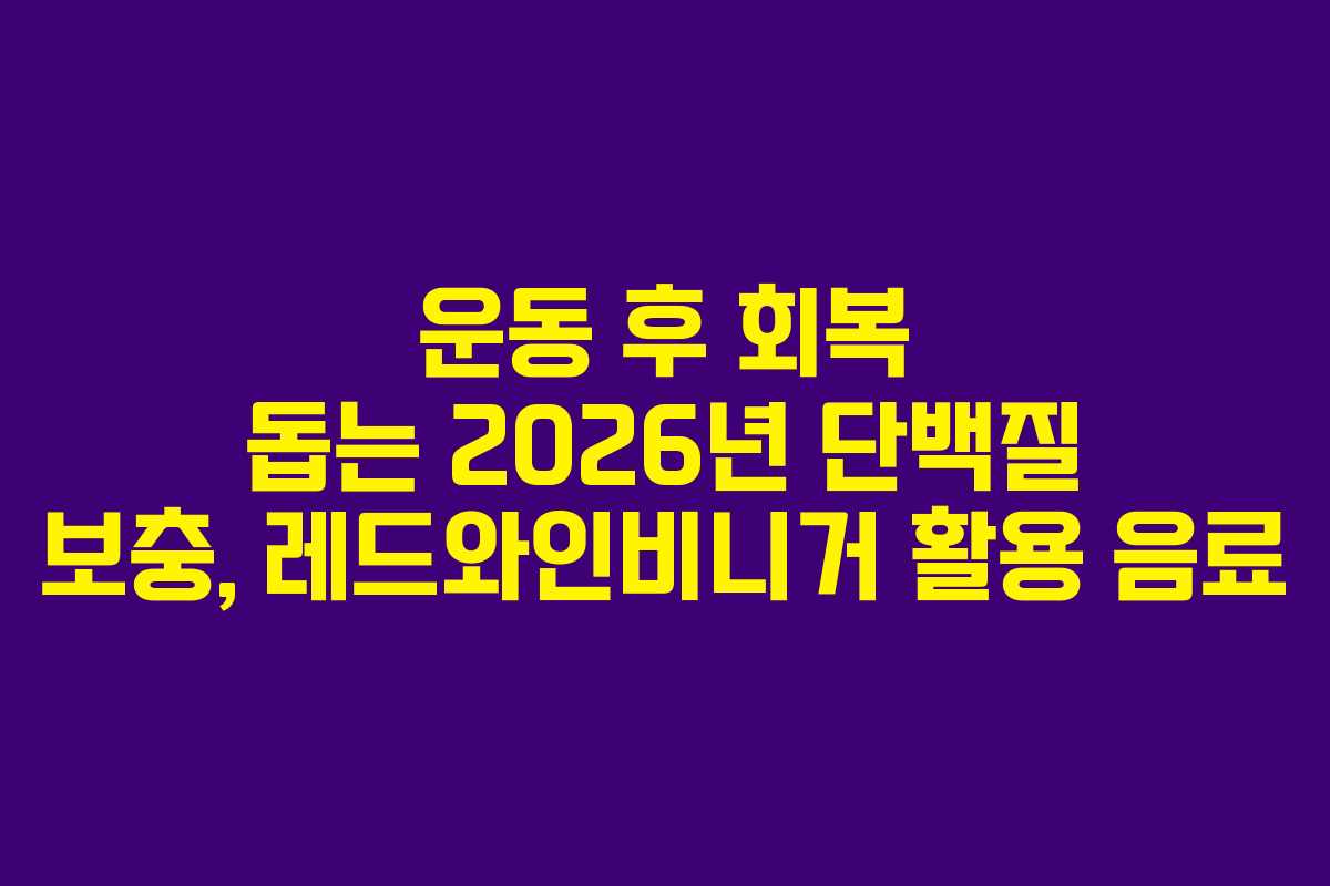 운동 후 회복 돕는 2026년 단백질 보충, 레드와인비니거 활용 음료