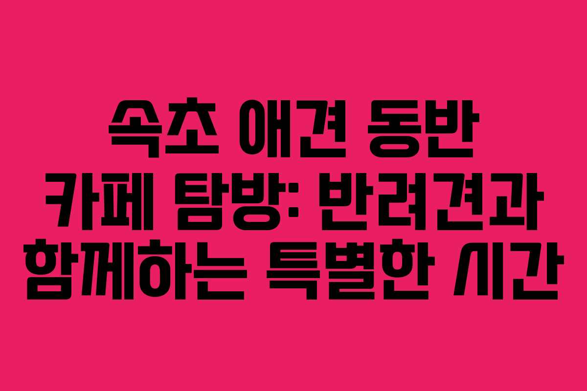 속초 애견 동반 카페 탐방: 반려견과 함께하는 특별한 시간 속초 애견 동반 카페 탐방: 반려견과 함께하는 특별한 시간