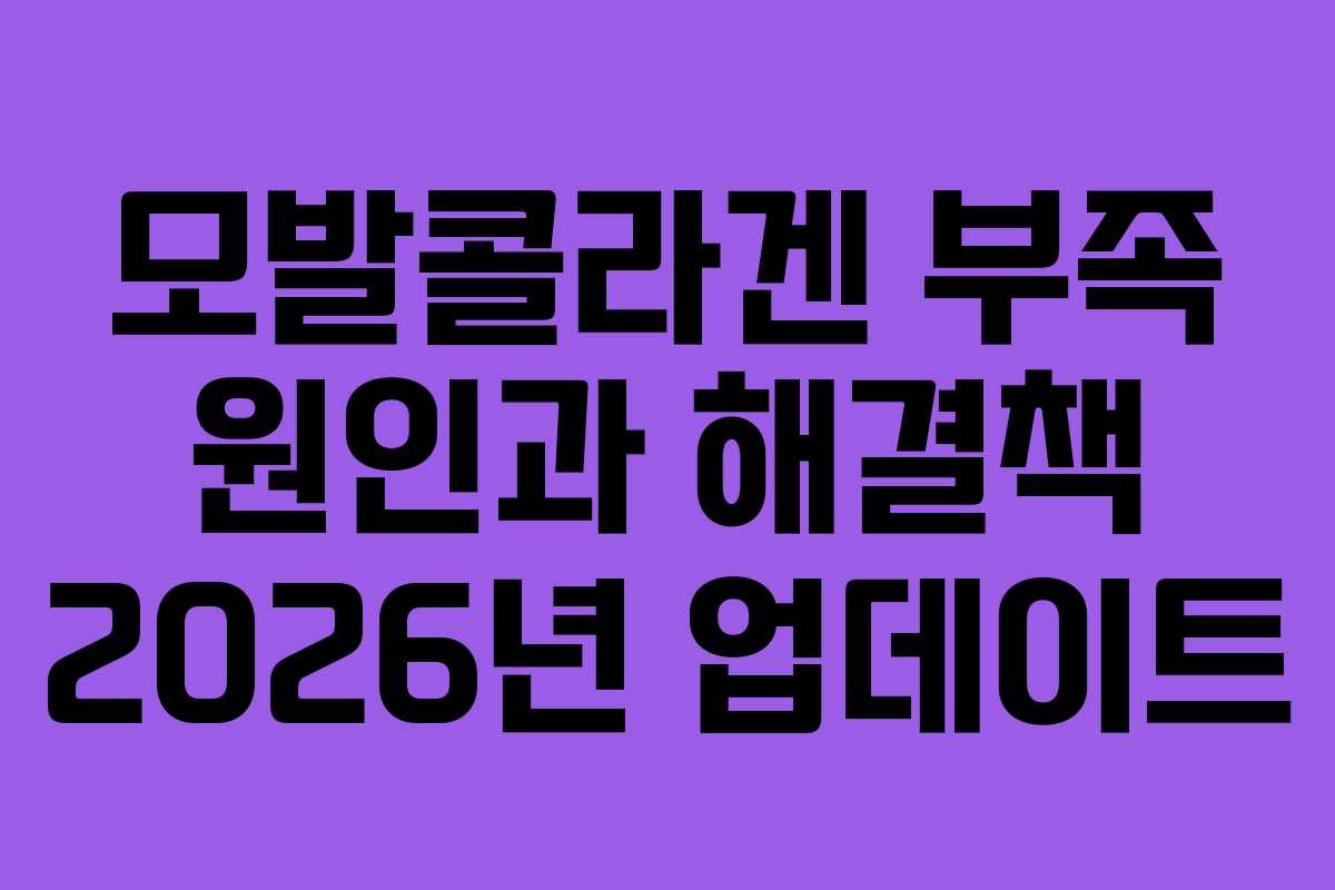 모발콜라겐 부족 원인과 해결책 2026년 업데이트 모발콜라겐 부족 원인과 해결책 2026년 업데이트