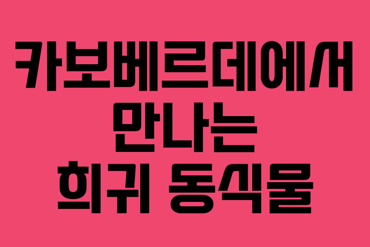 카보베르데에서 만나는 희귀 동식물